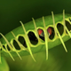 Imagen: Marco Uliana / Shutterstock